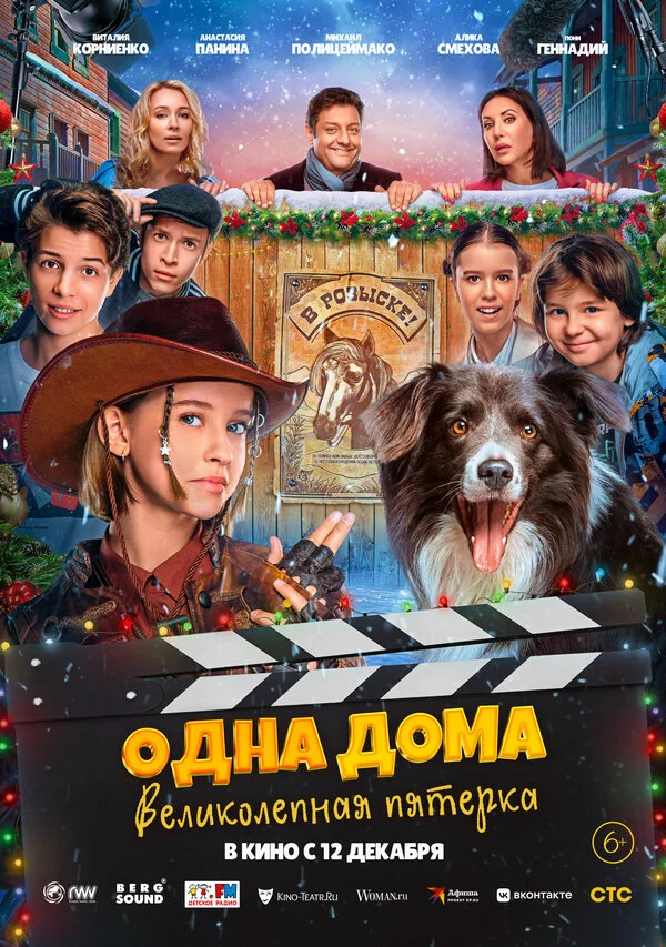Одна дома: Великолепная пятерка - постер фильма